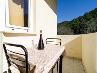 Apartments Dalmatin uljana - Superior Studio Apartment 2 - 6
