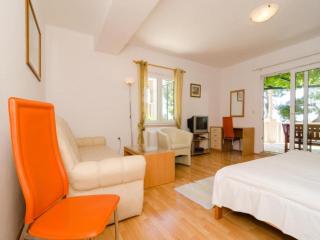 Apartments Plavac Mali- Comfort One Bedroom Apartment with Terrace and Sea View - 4