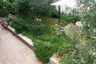 Apartment Ljubica - Vrsar - 4