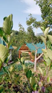 Zelena livada (Green Meadow) - Bijelo Polje - 8