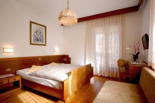 Park Hotel Villa Trunka Lunka - Cavalese - 9