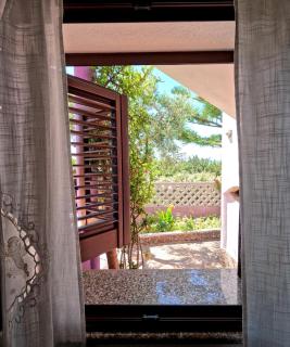 Casa Purple - 3