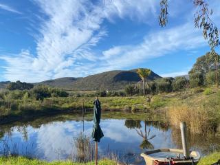 Dove Cottage at Rhebokskraal Olive Estate - McGregor - 9