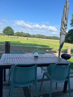 Tiny House auf Pferdehof - 8