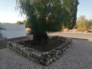 Medronhal Faro EM 520 - 2- casas de férias medronhal - 1