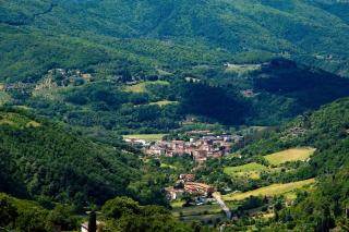 La Felce e il Mirtillo - Il Palazzo - 7