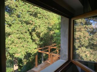 La Felce e il Mirtillo - 5