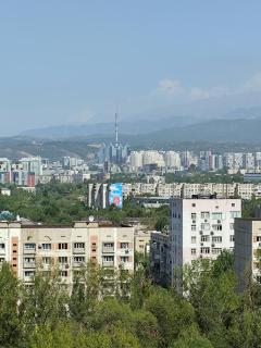 Уютные апартаменты на Сатпаева - Almaty - 6