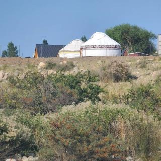 Yurtcamp Madina - Barskoon - 1