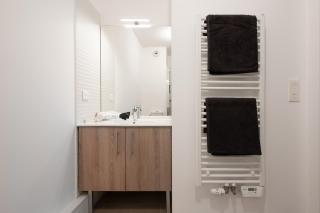 Appartement Centre Ville Toulouse - Dôme la Grave - WiFi- Parking GRATUIT - 4