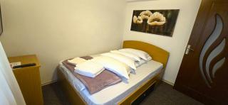 Vila Foc Alb Apartamente-Busteni - Buşteni - 3