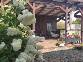 Apartments near old town with private parking - Kaunas - 0