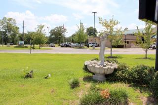 Carom Inn Denham Springs-BatonRouge - Denham Springs - 4