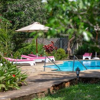 Allamanda Boutique Hostel - Galu - 4