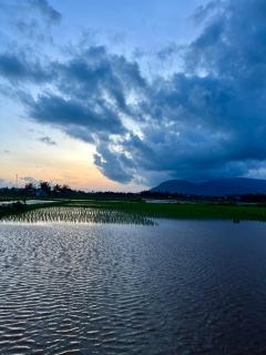 Cozy House Hotel and Retreat - Kampot - 7