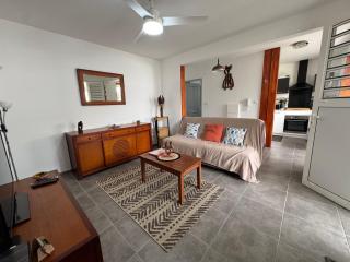 T2 résidence les Cottages de l Anse - 9