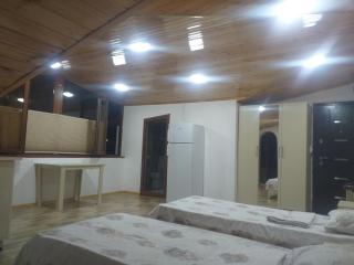 Orkide - Shaki - 3