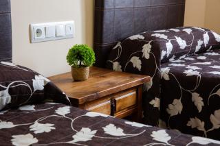 Hostal LaPerdiz - 4