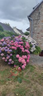La Rose des Vents-Maison de charme-Tout à pied - Paimpol - 8