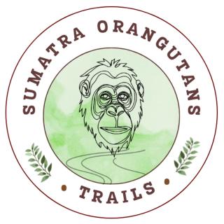 Thousands of Bottles - Hostel and Trekking - Bukit Lawang - 7
