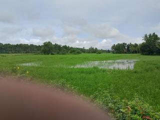 Kadaleevanam Yoga Academy - - 6