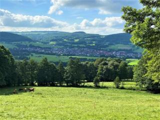 Charming holiday home with natural garden in Kaltennordheim-Thuringia - Unterweid - 9