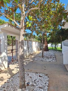 Villa Mirò - Casalabate - 4