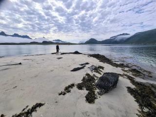 Lofoten Resort og rorbuer - 4