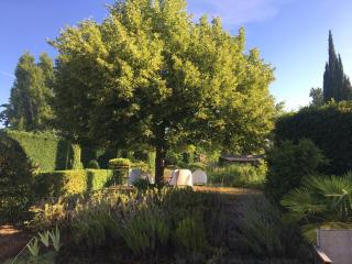 B&B Petite Maison Le Jardin - Vaison-la-Romaine - 7