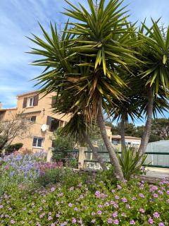 Villa Grande Bleue - 3