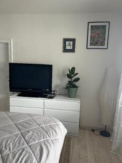 Apartmán pod lesem - Hazlov - 4