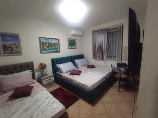 Ground-Floor Studio Apartment Near Center - Tirana - 0