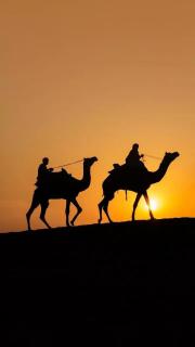 Hostel Camel Castle & Safari - 9