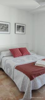 Apartamento Vino Tinto - Valdepeñas - 7