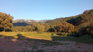Casas Rurales Los Palenques - Villaverde de Guadalimar - 8