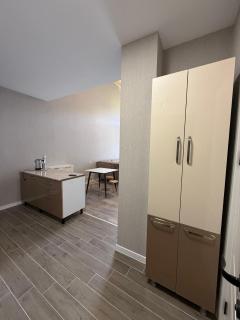 Bakuriani Green Valley Apartment B 47 - Bakuriani - 7