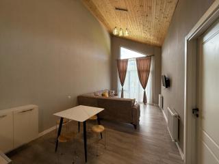 Bakuriani Green Valley Apartment B 47 - 6