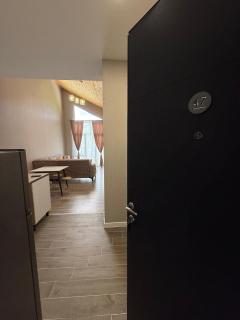 Bakuriani Green Valley Apartment B 47 - 2
