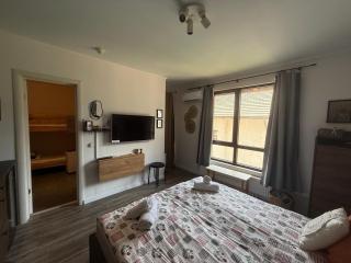 Luxury Studio2 in Hotel Friends Spa - 3