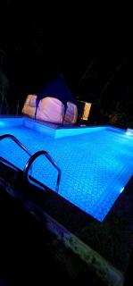 The Lotus Resort LLP - Āmbavna - 0