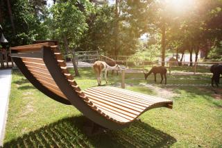 Pirker Anden Chalet - Pirk - 4