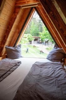 Pirker Anden Chalet - Pirk - 1