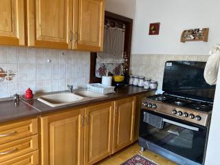 Hunting Lodge - Dealu - 2