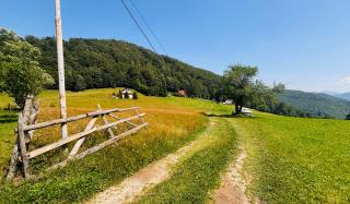 Cottage Luca - Ciocanu - 1