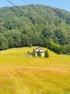 Cottage Luca - Ciocanu - 9