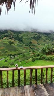 Mu Cang Chai Big view homestay, tour & vegetarian - Mù Cang Chải - 9