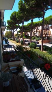 San Francesco - 1