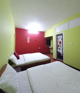 Smile stone private apartment - Ooty - 4