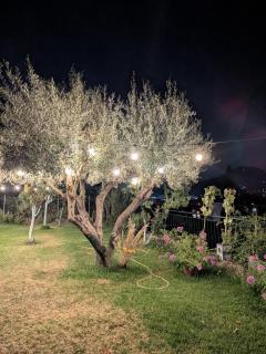 Studio with cute garden space - Nydri - 1