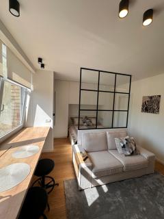 Algirdo Sunlight Studio - Vilnius - 7